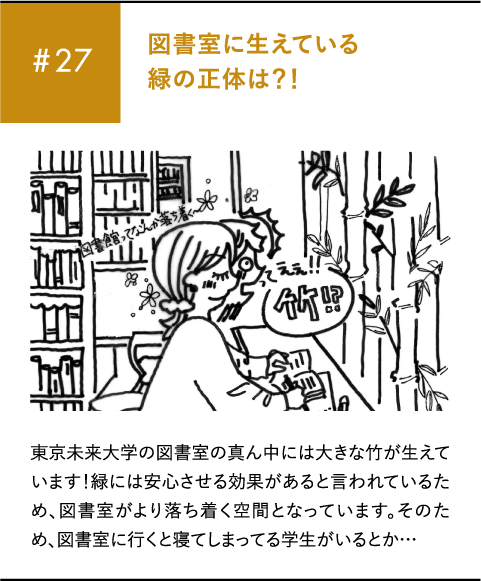 #27 図書室に生えている緑の正体は？！東京未来大学の図書室の真ん中には大きな竹が生えています！緑には安心させる効果があると言われているため、図書室がより落ち着く空間となっています。そのため、図書室に行くと寝てしまってる学生がいるとか…